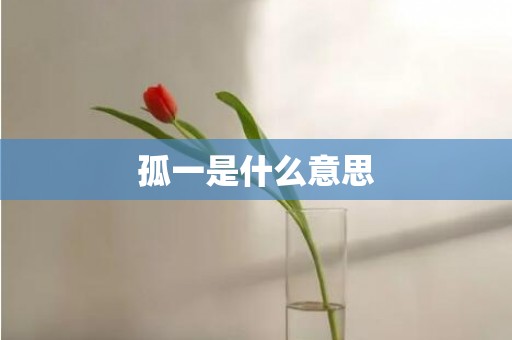 孤一是什么意思