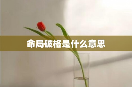 命局破格是什么意思