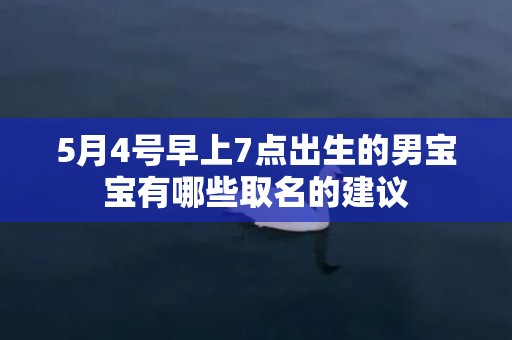 5月4号早上7点出生的男宝宝有哪些取名的建议