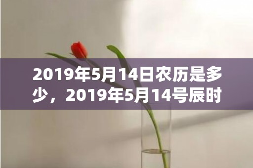 2019年5月14日农历是多少，2019年5月14号辰时出生的男孩起名时要注意什么