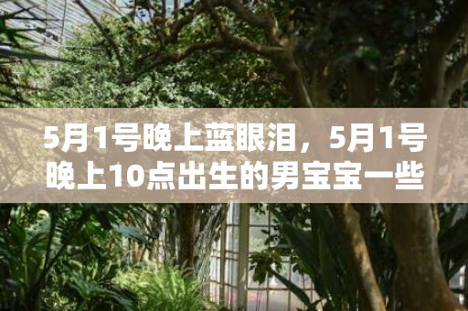 5月1号晚上蓝眼泪，5月1号晚上10点出生的男宝宝一些取名的好建议