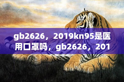 gb2626，2019kn95是医用口罩吗，gb2626，2019能防病毒吗