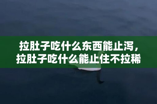 拉肚子吃什么东西能止泻，拉肚子吃什么能止住不拉稀