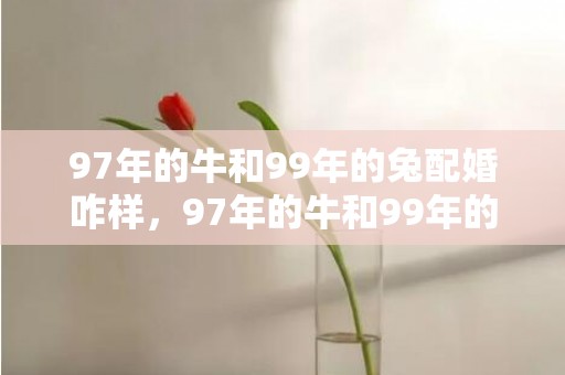 97年的牛和99年的兔配婚咋样，97年的牛和99年的兔相配吗，属牛和属兔相配指数