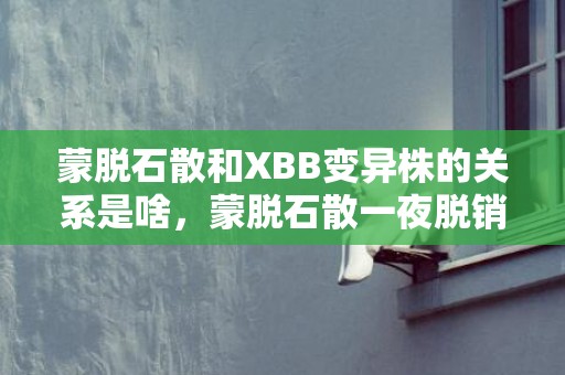 蒙脱石散和XBB变异株的关系是啥，蒙脱石散一夜脱销是怎么回事