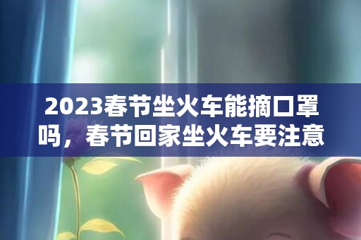 2023春节坐火车能摘口罩吗，春节回家坐火车要注意什么