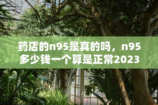 药店的n95是真的吗，n95多少钱一个算是正常2023