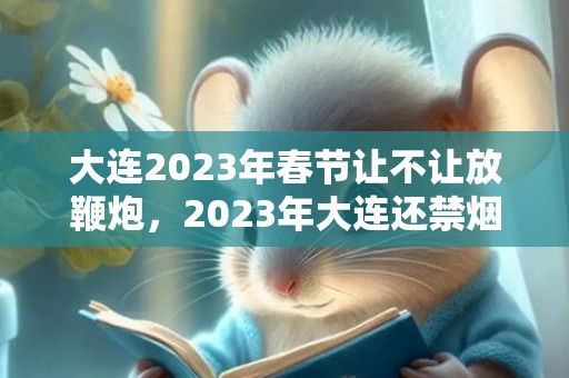 大连2023年春节让不让放鞭炮，2023年大连还禁烟花吗​