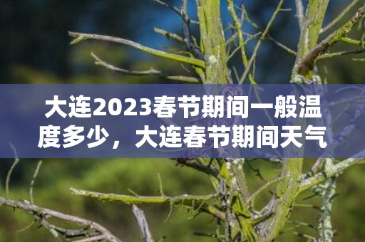 大连2023春节期间一般温度多少，大连春节期间天气怎么样