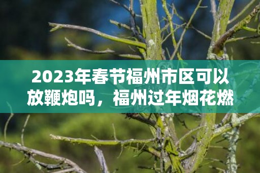 2023年春节福州市区可以放鞭炮吗，福州过年烟花燃放规定有哪些