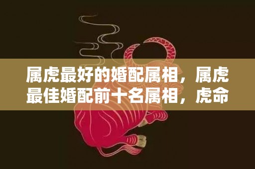 属虎最好的婚配属相，属虎最佳婚配前十名属相，虎命中注定的另一半是谁