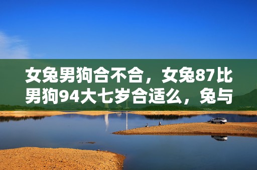 女兔男狗合不合，女兔87比男狗94大七岁合适么，兔与狗合适结婚吗