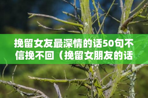 挽留女友最深情的话50句不信挽不回（挽留女朋友的话真实点说说）