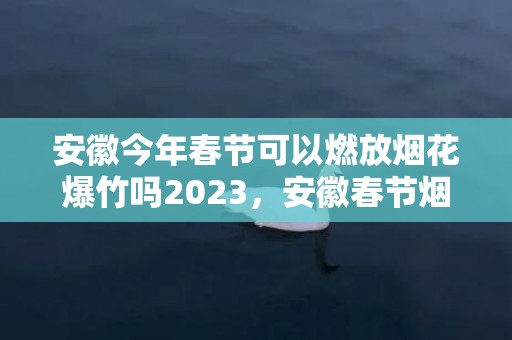 安徽今年春节可以燃放烟花爆竹吗2023，安徽春节烟花爆竹哪里可以燃放