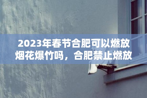 2023年春节合肥可以燃放烟花爆竹吗，合肥禁止燃放烟花爆竹类型是什么