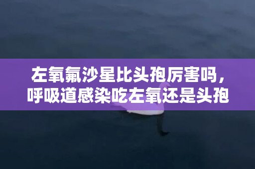 左氧氟沙星比头孢厉害吗，呼吸道感染吃左氧还是头孢好