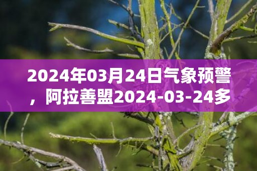 2024年03月24日气象预警，阿拉善盟2024-03-24多云转晴最高气温18℃