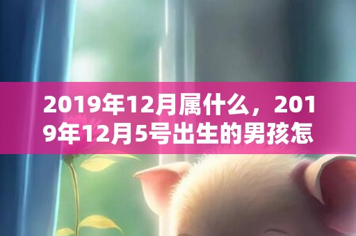 2019年12月属什么，2019年12月5号出生的男孩怎么起名字，五行属什么