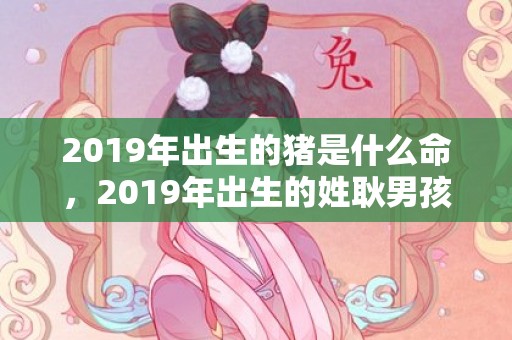 2019年出生的猪是什么命，2019年出生的姓耿男孩如何起名，宜用什么字