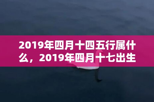 2019年四月十四五行属什么，2019年四月十七出生的双胞胎男孩如何起名字，五行属什么