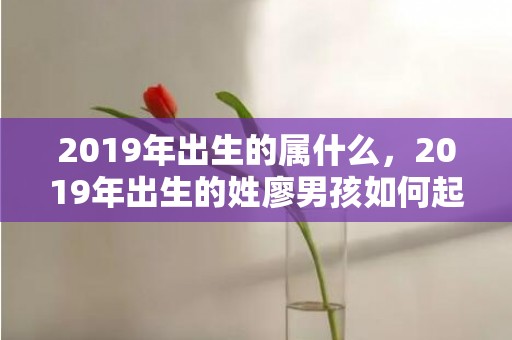 2019年出生的属什么，2019年出生的姓廖男孩如何起名，宜用什么字