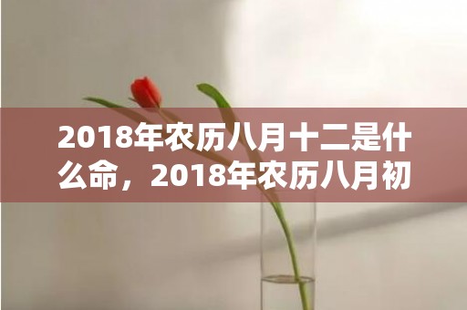 2018年农历八月十二是什么命，2018年农历八月初四出生男宝宝名字推荐，五行宝宝起名