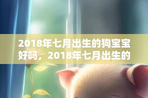 2018年七月出生的狗宝宝好吗，2018年七月出生的男孩名字起名，五行宝宝名字推荐