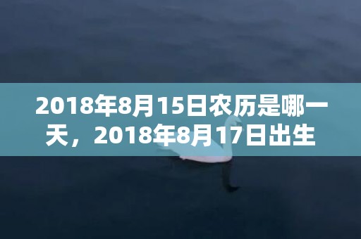 2018年8月15日农历是哪一天，2018年8月17日出生的男宝宝怎么取名？这天的卦象如何？