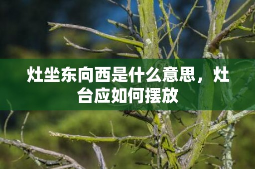 灶坐东向西是什么意思，灶台应如何摆放