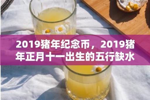 2019猪年纪念币，2019猪年正月十一出生的五行缺水女孩起什么名字好？