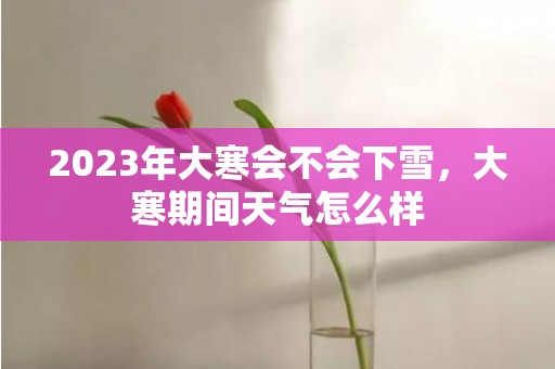 2023年大寒会不会下雪，大寒期间天气怎么样