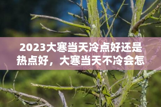 2023大寒当天冷点好还是热点好，大寒当天不冷会怎么样