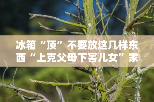 冰箱“顶”不要放这几样东西“上克父母下害儿女”家财万贯