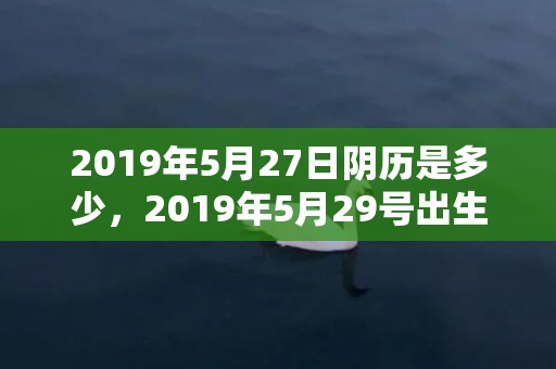 2019年5月27日阴历是多少，2019年5月29号出生的双胞胎女孩起什么名字好听，五行属什么？