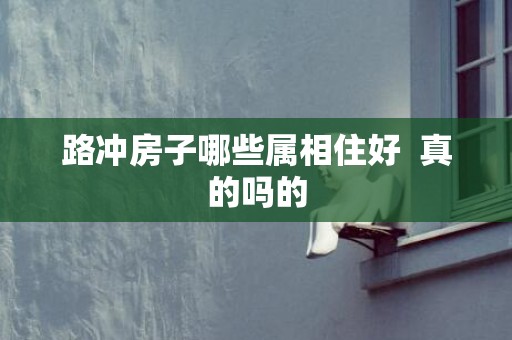 路冲房子哪些属相住好  真的吗的