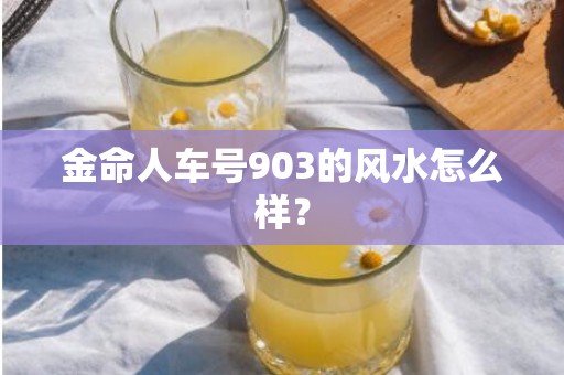 金命人车号903的风水怎么样？