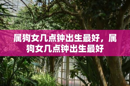 属狗女几点钟出生最好，属狗女几点钟出生最好