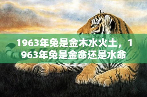 1963年兔是金木水火土，1963年兔是金命还是水命