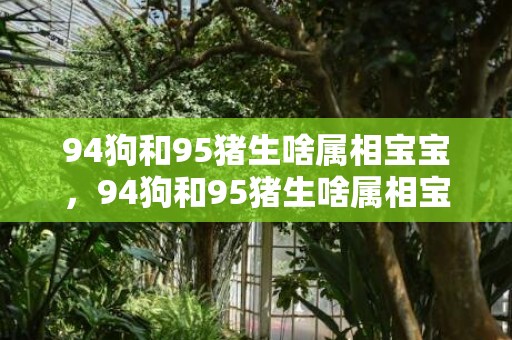 94狗和95猪生啥属相宝宝，94狗和95猪生啥属相宝宝