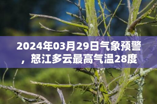 2024年03月29日气象预警，怒江多云最高气温28度