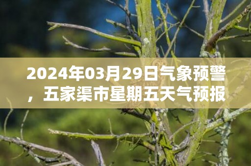 2024年03月29日气象预警，五家渠市星期五天气预报 大部晴