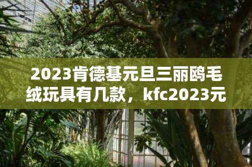 2023肯德基元旦三丽鸥毛绒玩具有几款，kfc2023元旦三丽鸥毛绒玩具怎么玩