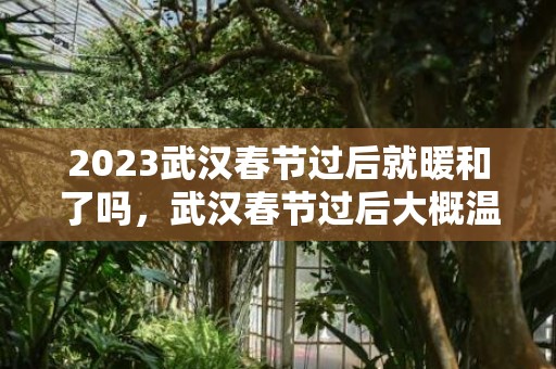 2023武汉春节过后就暖和了吗，武汉春节过后大概温度在几度