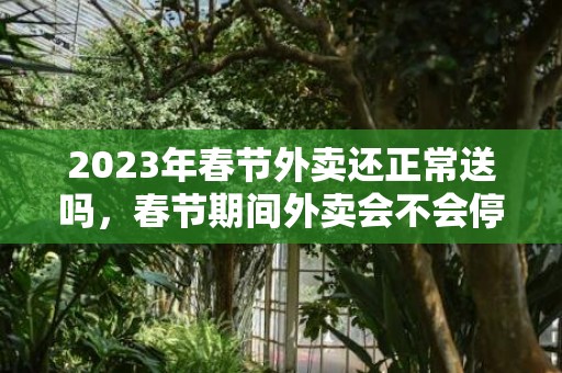 2023年春节外卖还正常送吗，春节期间外卖会不会停