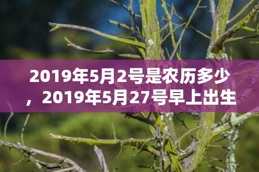 2019年5月2号是农历多少，2019年5月27号早上出生的女孩起什么名字吉祥