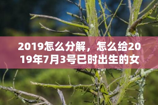 2019怎么分解，怎么给2019年7月3号巳时出生的女孩起名，五行是什么？