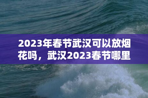 2023年春节武汉可以放烟花吗，武汉2023春节哪里可以放烟花