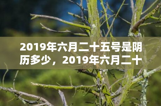 2019年六月二十五号是阴历多少，2019年六月二十二出生的双胞胎女孩起什么名字好听，五行属什么