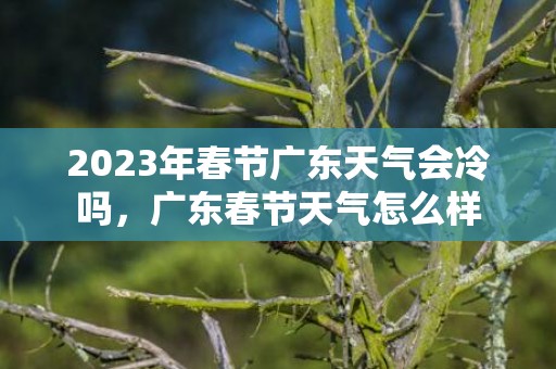 2023年春节广东天气会冷吗，广东春节天气怎么样