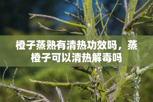 橙子蒸熟有清热功效吗，蒸橙子可以清热解毒吗